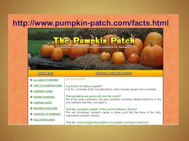 http://www.pumpkin-patch.com/facts.html