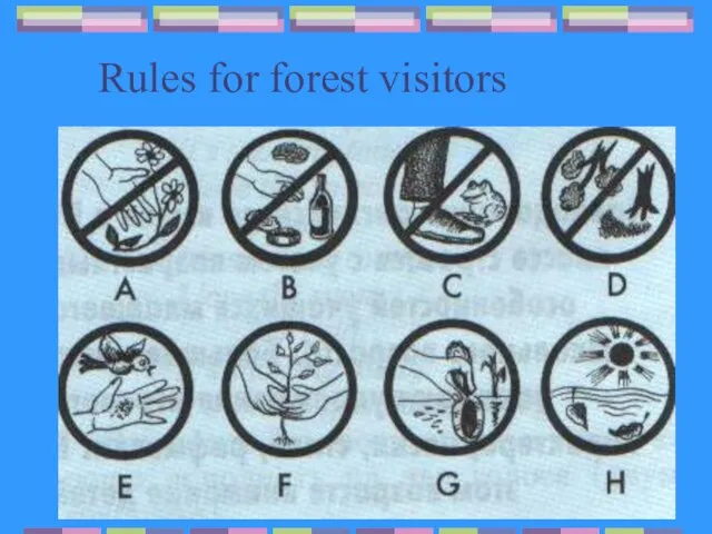 Rules for forest visitors