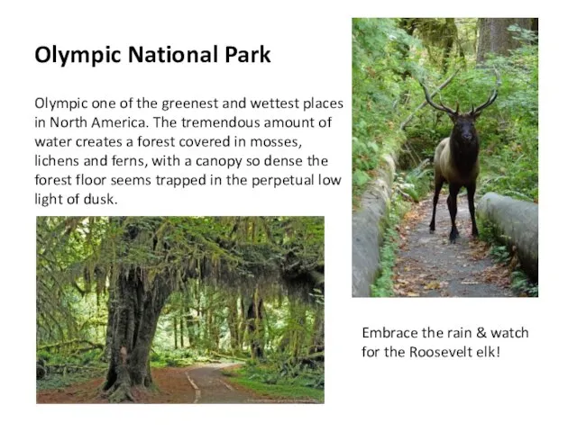 Olympic National Park Olympic one of the greenest and wettest places in