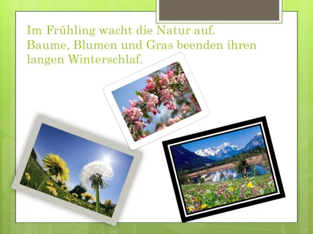 Im Frühling wacht die Natur auf. Baume, Blumen und Gras beenden ihren langen Winterschlaf.