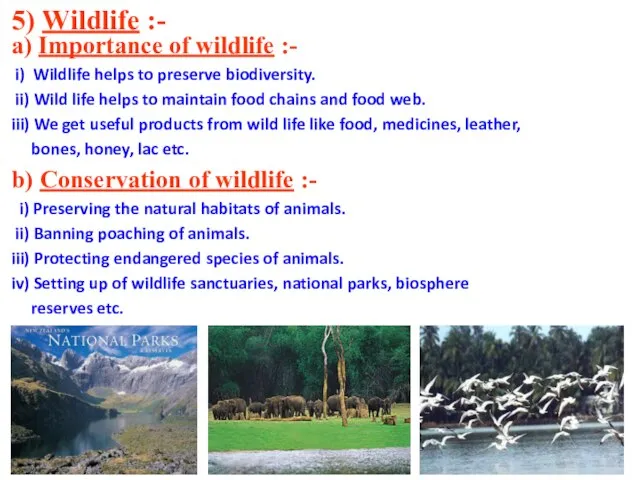 5) Wildlife :- a) Importance of wildlife :- i) Wildlife helps to
