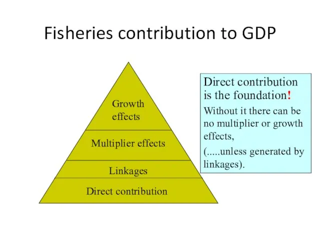 Fisheries contribution to GDP Direct contribution is the foundation! Without it there