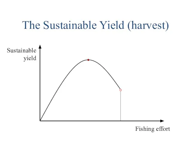 The Sustainable Yield (harvest)