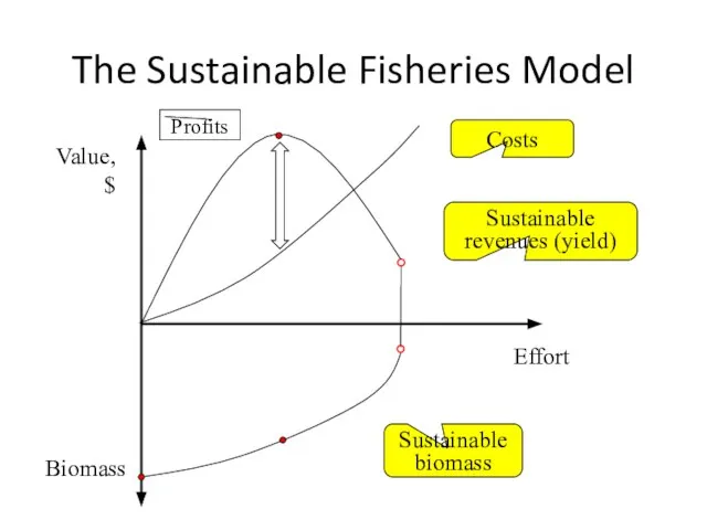 The Sustainable Fisheries Model Value, $ Effort Biomass Costs Sustainable revenues (yield) Sustainable biomass Profits
