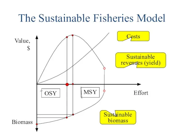 The Sustainable Fisheries Model