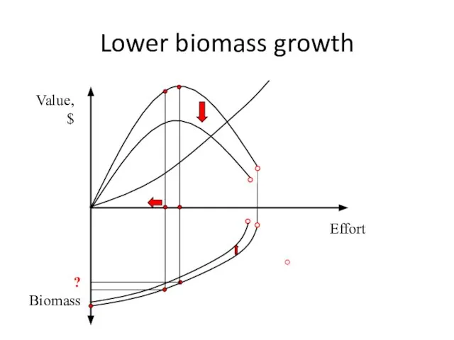 Lower biomass growth Value, $ Effort Biomass ?