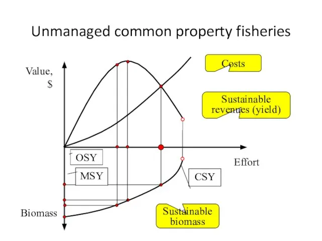 Unmanaged common property fisheries