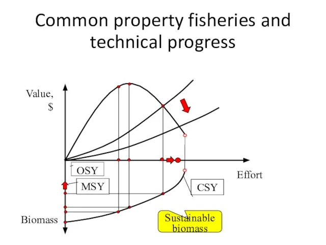 Common property fisheries and technical progress Value, $ Effort Biomass Sustainable biomass OSY CSY MSY