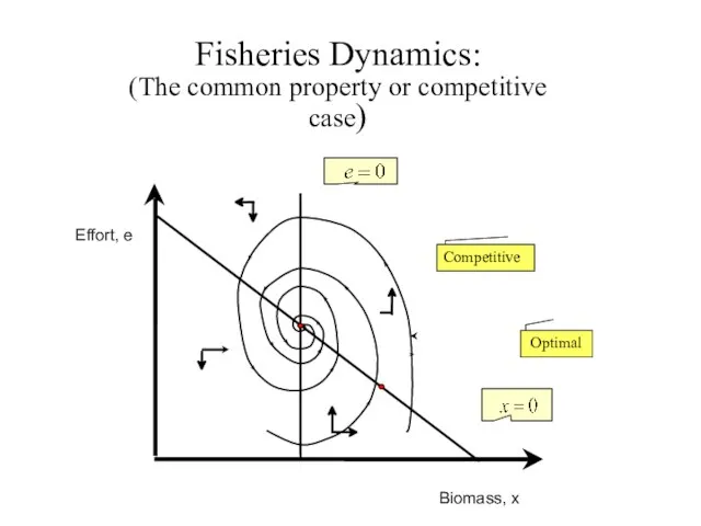Fisheries Dynamics: (The common property or competitive case)