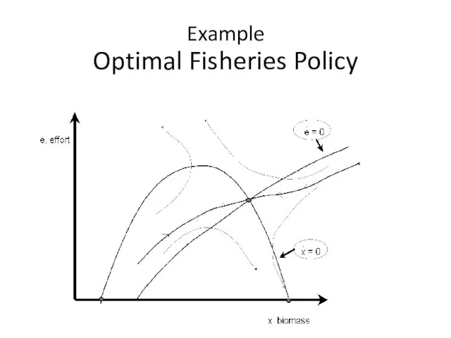 Example Optimal Fisheries Policy