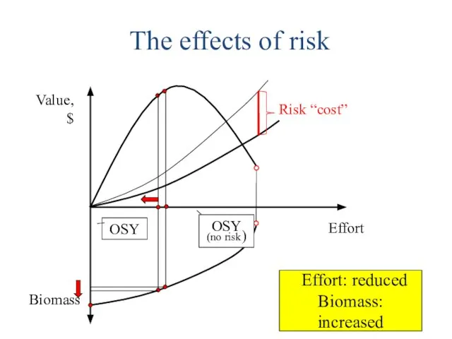 The effects of risk Value, $ Effort Biomass OSY (no risk) OSY