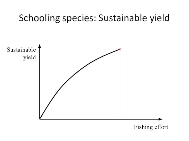 Schooling species: Sustainable yield Sustainable yield Fishing effort