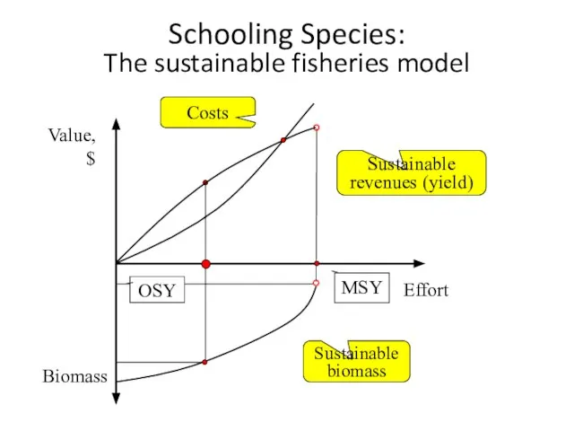 Schooling Species: The sustainable fisheries model Value, $ Effort Biomass Costs Sustainable