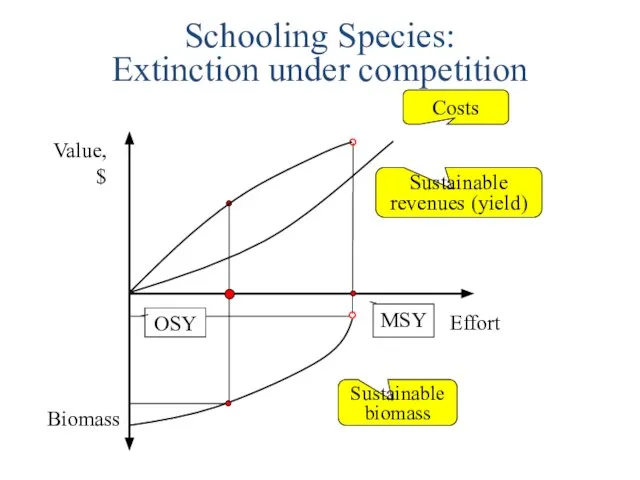 Schooling Species: Extinction under competition Value, $ Effort Biomass Costs Sustainable revenues