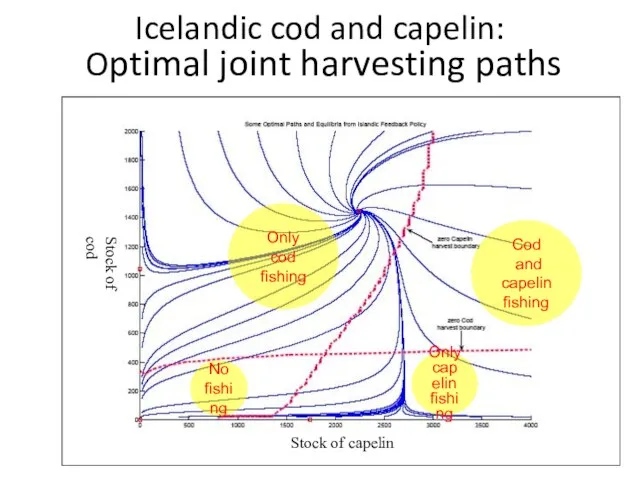 Icelandic cod and capelin: Optimal joint harvesting paths Only cod fishing Only