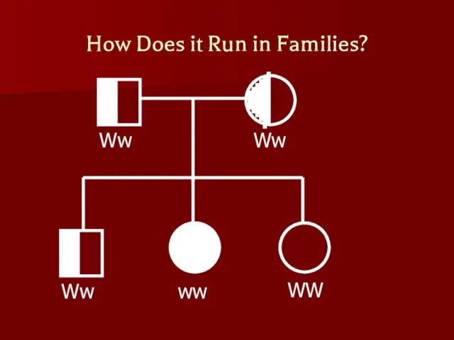 How Does it Run in Families? Ww Ww ww Ww WW