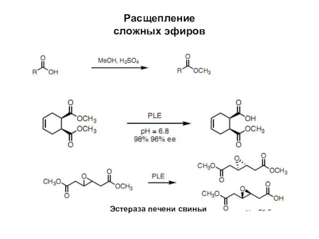 Расщепление сложных эфиров Эстераза печени свиньи