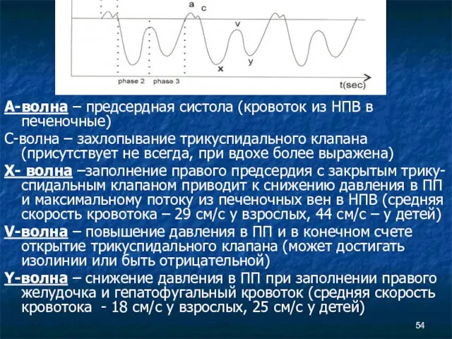 A-волна – предсердная систола (кровоток из НПВ в печеночные) C-волна – захлопывание