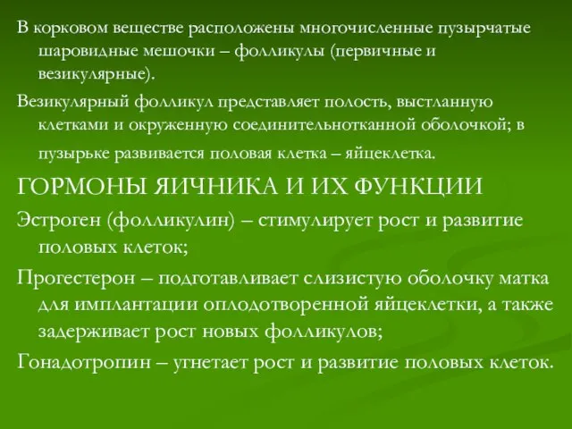 В корковом веществе расположены многочисленные пузырчатые шаровидные мешочки – фолликулы (первичные и