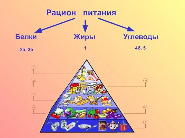 Рацион питания Белки Жиры Углеводы 2а, 2б 1 4б, 5