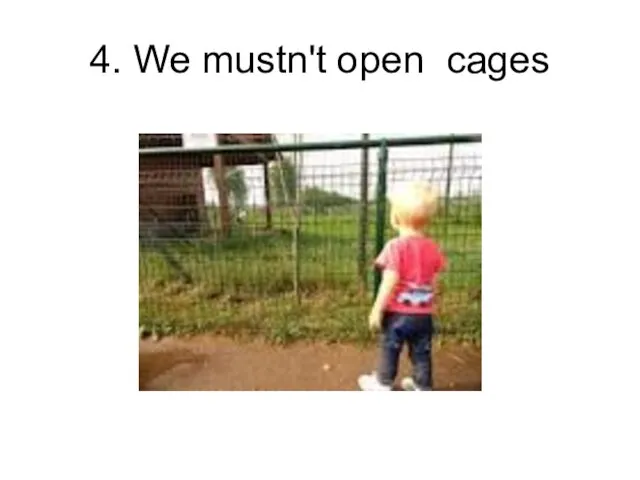 4. We mustn't open cages