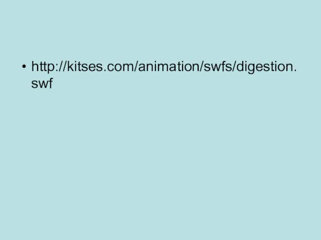 http://kitses.com/animation/swfs/digestion.swf