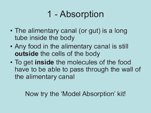1 - Absorption The alimentary canal (or gut) is a long tube