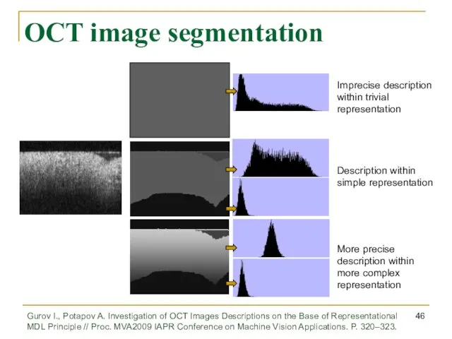 OCT image segmentation Imprecise description within trivial representation Description within simple representation