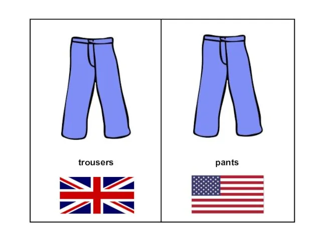 trousers pants