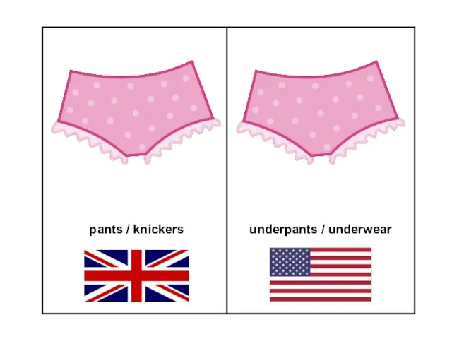 pants / knickers underpants / underwear