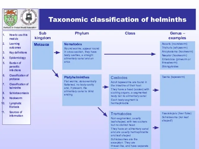 Taxonomic classification of helminths