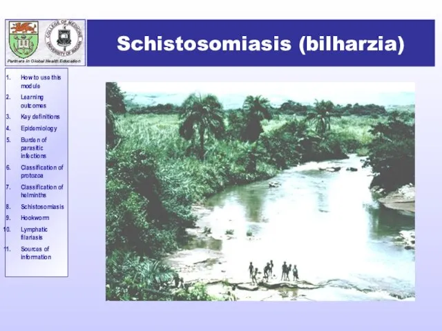 Schistosomiasis (bilharzia)
