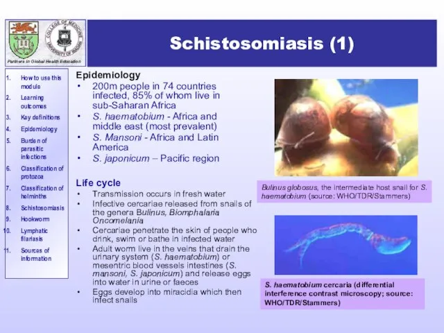 Schistosomiasis (1) Epidemiology 200m people in 74 countries infected, 85% of whom