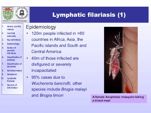 Lymphatic filariasis (1) Epidemiology 120m people infected in >80 countries in Africa,