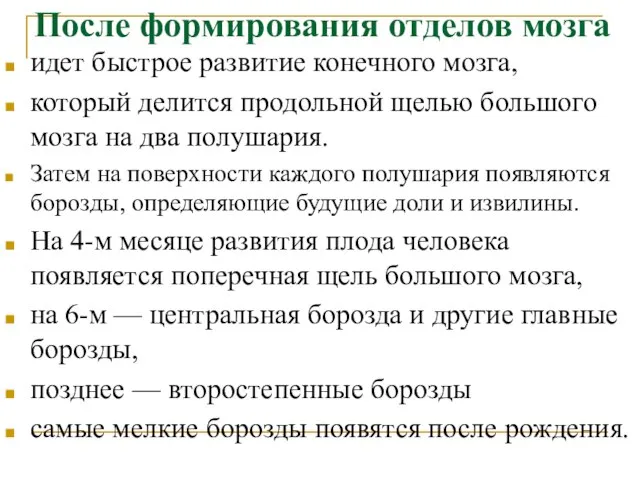 После формирования отделов мозга идет быстрое развитие конечного мозга, который делится продольной