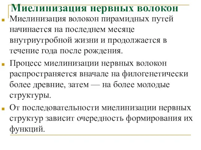 Миелинизация нервных волокон Миелинизация волокон пирамидных путей начинается на последнем месяце внутриутробной