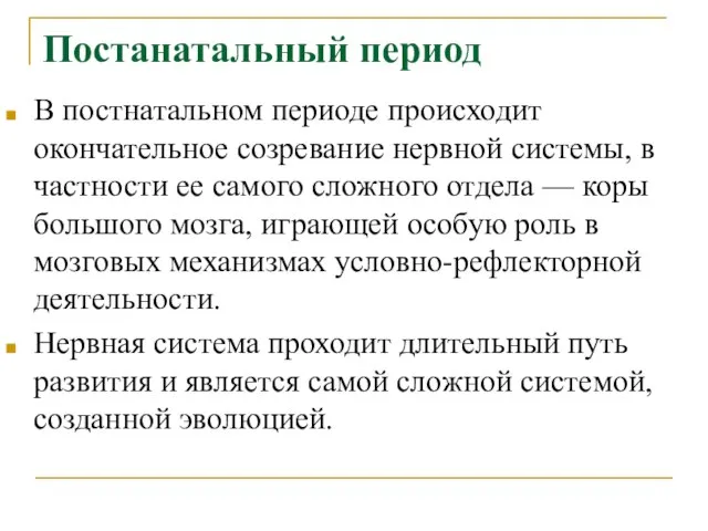 Постанатальный период В постнатальном периоде происходит окончательное созревание нервной системы, в частности