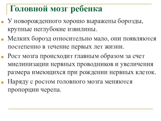 Головной мозг ребенка У новорожденного хорошо выражены борозды, крупные неглубокие извилины. Мелких