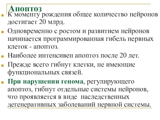 Апоптоз К моменту рождения общее количество нейронов достигает 20 млрд. Одновременно с