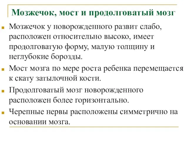 Мозжечок, мост и продолговатый мозг Мозжечок у новорожденного развит слабо, расположен относительно