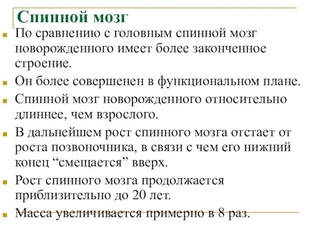 Спинной мозг По сравнению с головным спинной мозг новорожденного имеет более законченное