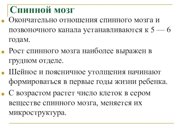 Спинной мозг Окончательно отношения спинного мозга и позвоночного канала устанавливаются к 5