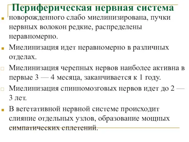 Периферическая нервная система новорожденного слабо миелинизирована, пучки нервных волокон редкие, распределены неравномерно.