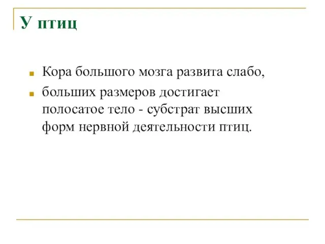 У птиц Кора большого мозга развита слабо, больших размеров достигает полосатое тело