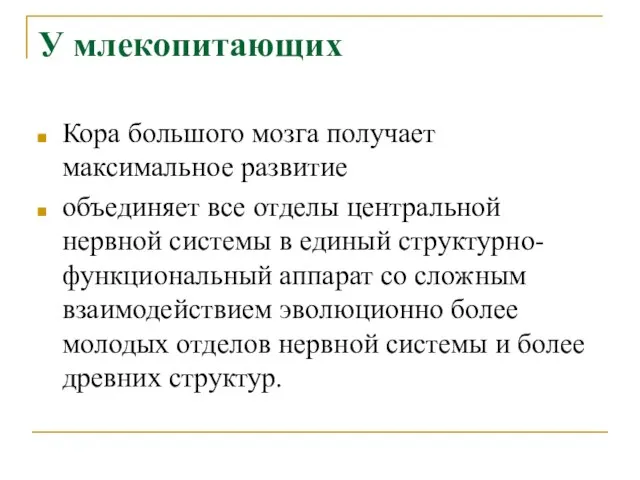 У млекопитающих Кора большого мозга получает максимальное развитие объединяет все отделы центральной