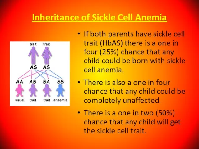 Inheritance of Sickle Cell Anemia If both parents have sickle cell trait