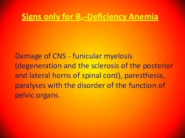 Signs only for B12-Deficiency Anemia Damage of CNS - funicular myelosis (degeneration