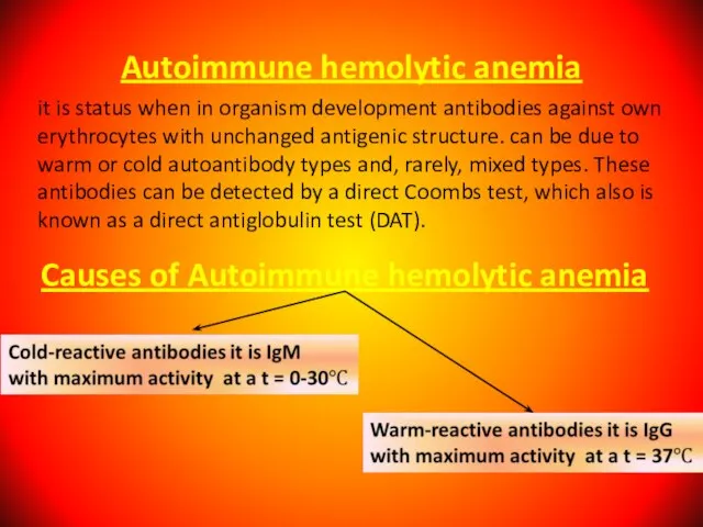 Autoimmune hemolytic anemia it is status when in organism development antibodies against