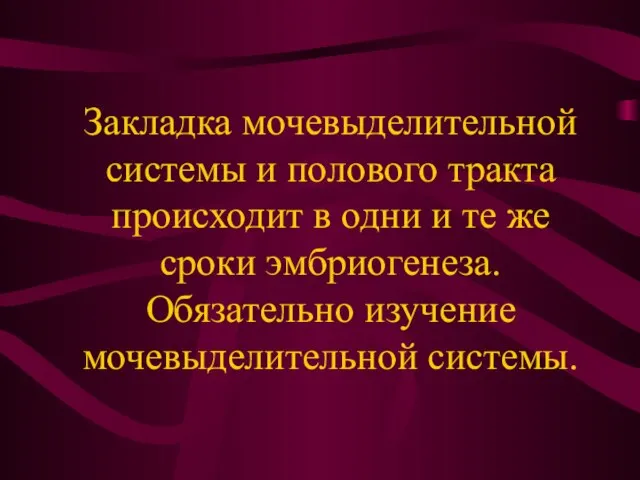 Закладка мочевыделительной системы и полового тракта происходит в одни и те же