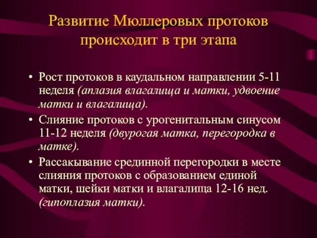 Развитие Мюллеровых протоков происходит в три этапа Рост протоков в каудальном направлении